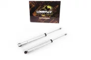 BMW E36 E46 Z3 Z4 E85 Z4 E86 Пара задних амортизаторов RSHLSCSBM011x2 для винтовой подвески LOWSTUFF EVO-I LSCSBM011 LSCSBM041