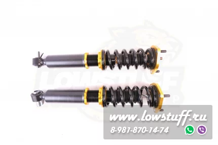 BMW F10 F11 F12 F13 F01 F06 Винтовая подвеска койловеры для задней оси с регулировкой высоты и жесткости EVO-III REARLSCSBM133