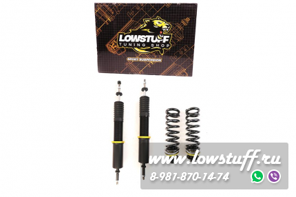 BMW E81 E82 E87 E88 E90 E91 E92 E93 Винтовая подвеска койловеры для задней оси интегрированные с регулировкой высоты и жесткости EVO-III REARLSCSBM253