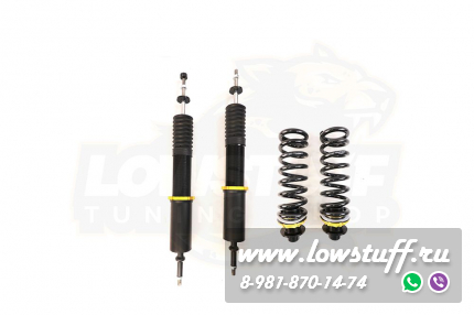 BMW E81 E82 E87 E88 E90 E91 E92 E93 Винтовая подвеска койловеры для задней оси интегрированные с регулировкой высоты и жесткости EVO-III REARLSCSBM253