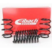 Комплект пружин Eibach Pro-Kit E10-75-001-01-22 с занижением -30мм/-30мм для RENAULT CLIO II (BB0/1/2_, CB0/1/2_)