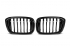 Решетки радиатора ноздри BMW X3 G01, X4 G02 2019-2021 горбатые X3M X4M стиль одинарные черные глянцевые RGBMX3G01X1GB