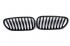 BMW Z4 E85, Z4 E86 решетки радиатора ноздри черные глянцевые M стиль одинарные спицы Shadow line LOWSTUFF RGBMZ4E85X1GB